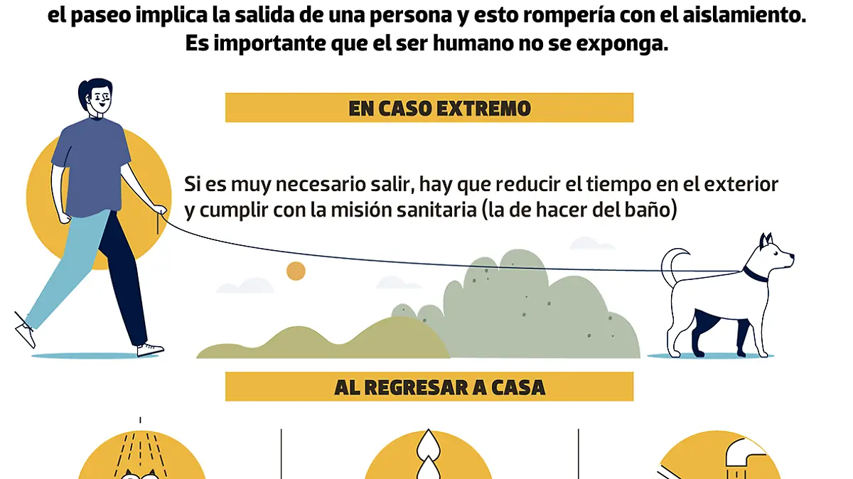 infografia covid PASEAR A TU MASCOTA